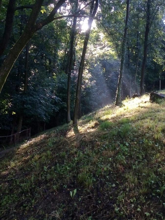 Appartamento La Casa Nel Bosco Rueglio Dış mekan fotoğraf
