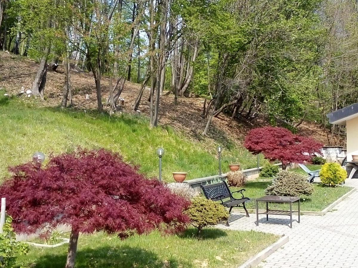 Appartamento La Casa Nel Bosco Rueglio Dış mekan fotoğraf