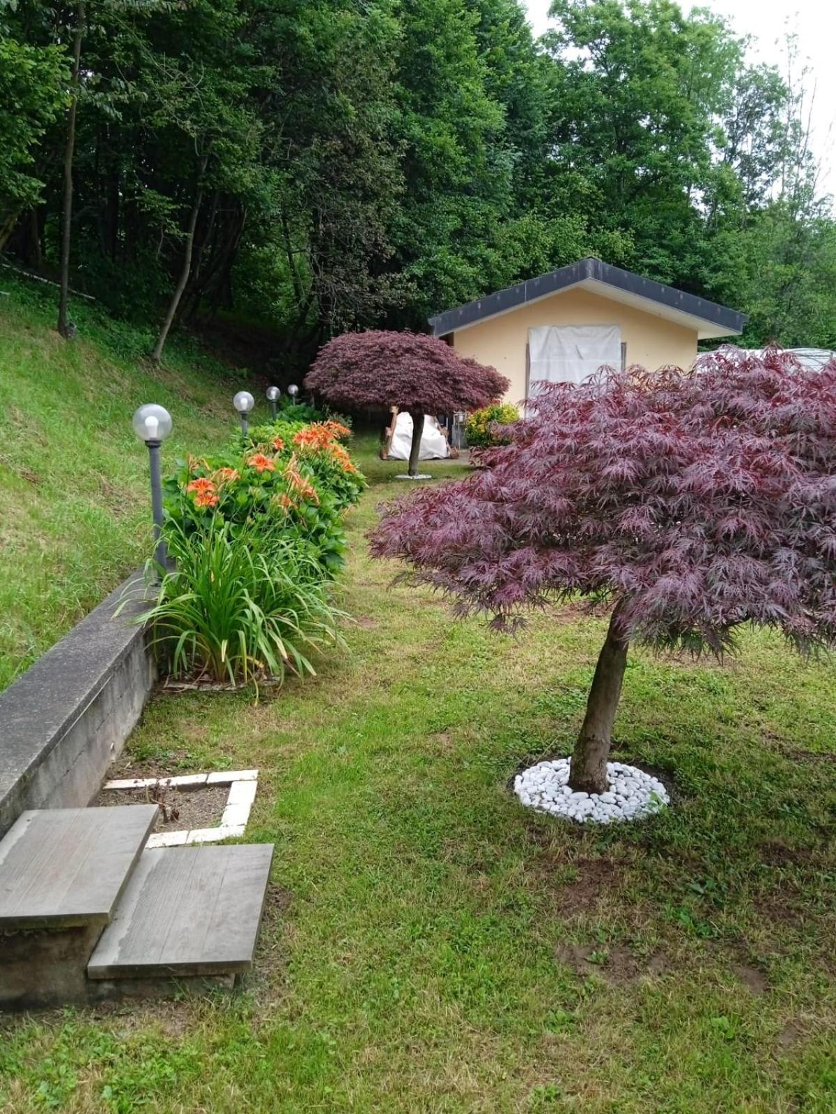 Appartamento La Casa Nel Bosco Rueglio Dış mekan fotoğraf